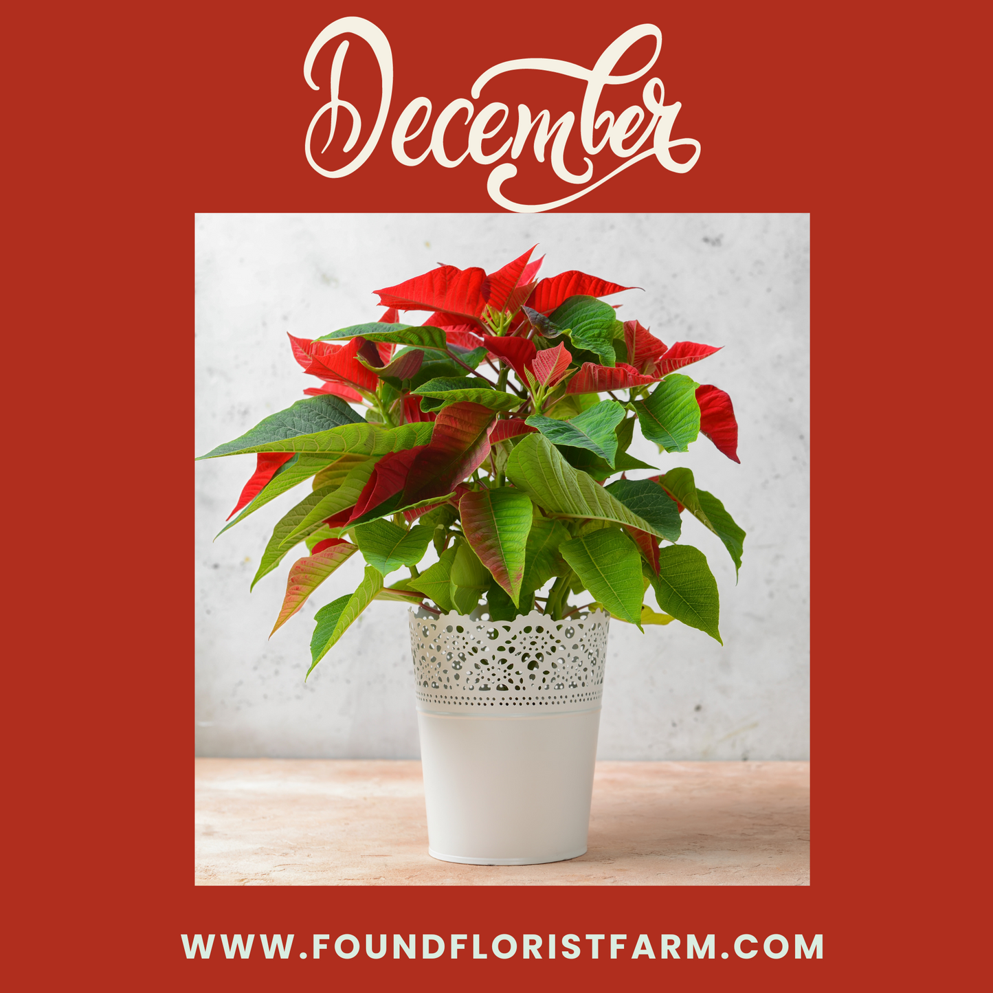 Flowers of Joy: Monthly Floral Delightful Surprise Personalized