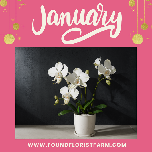 Flowers of Joy: Monthly Floral Delightful Surprise Personalized