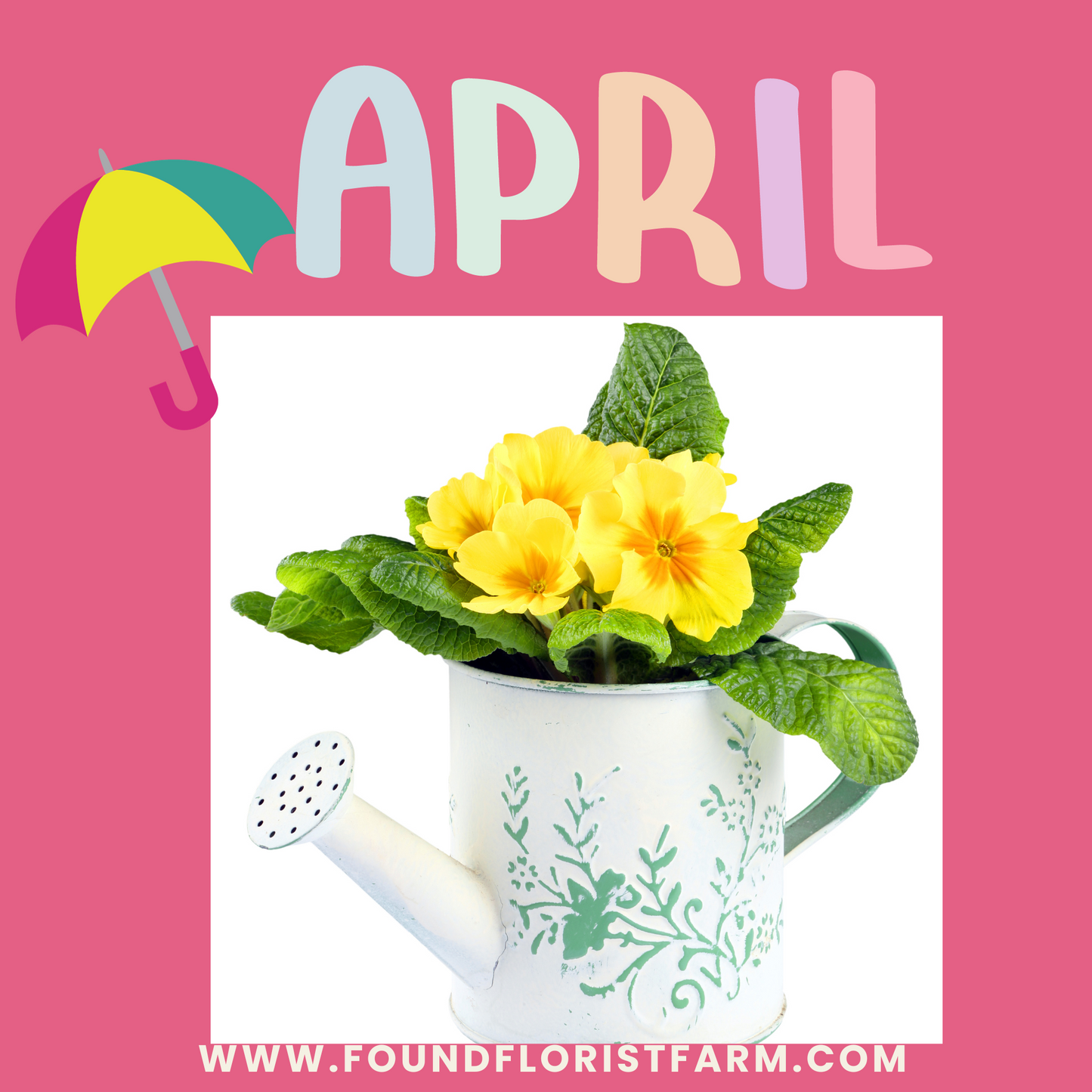 Flowers of Joy: Monthly Floral Delightful Surprise Personalized